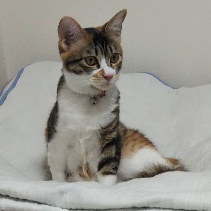 E7d13000 5271 4f40 b34b 389fd657bdd5 1639659925210