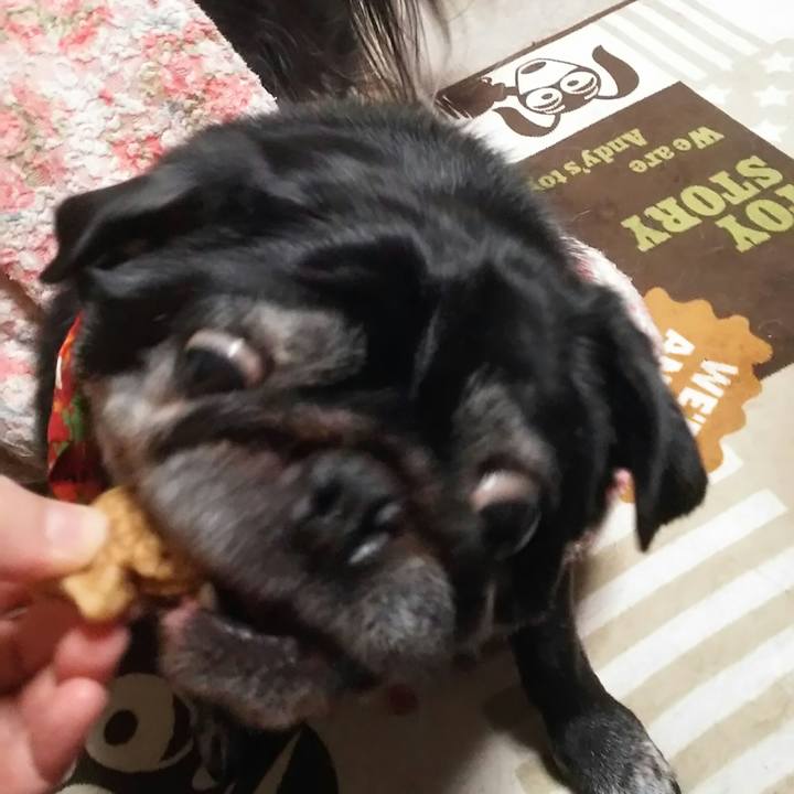 E7d1374f bdfb 4b5a a51f 38cda100bdb6 1514201332040