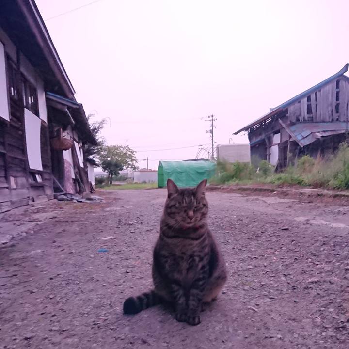 E7d14703 2954 4324 b6b5 709422bf1d2b 1663015537524