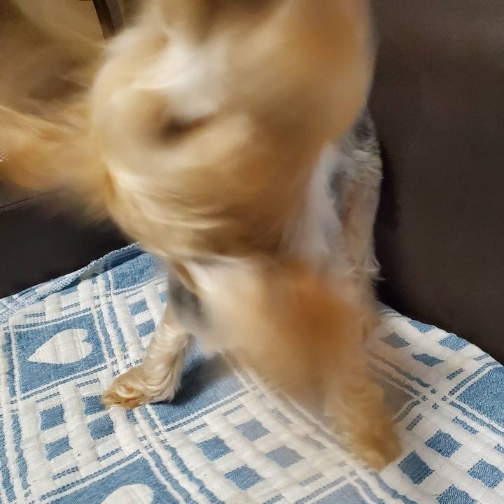 E7d157da 13c2 48ce b07b c5c367b3e205 1561801035250