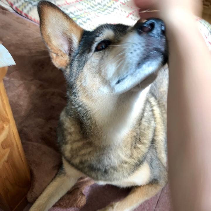 E7d18e50 b1c7 46c9 a5c0 eb20d058c7a9 1536502873372