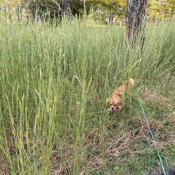 E7d1ba22 41ab 4a27 934c 6b8b06795033 1601938062063