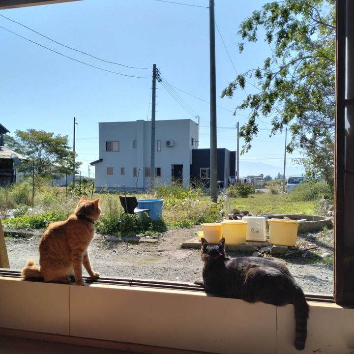 E7d1bd30 0d11 4018 b14d e3276c314c4b 1664672697773