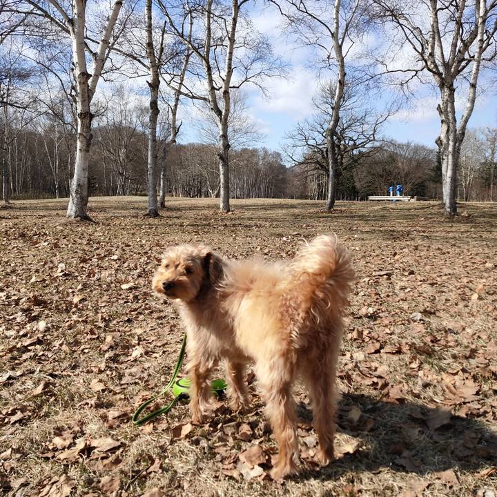 E7d1d314 c1fc 4a38 b4f8 2e307d26acb8 1586653465324