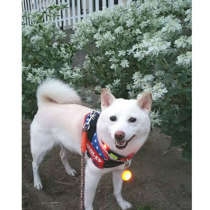 E7d2104d 9190 494c 8edc f94d9dd3d43f 1566730157168