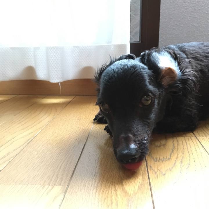 E7d22929 d356 4ee7 ab8a 5e57d746dcda 1536617756426