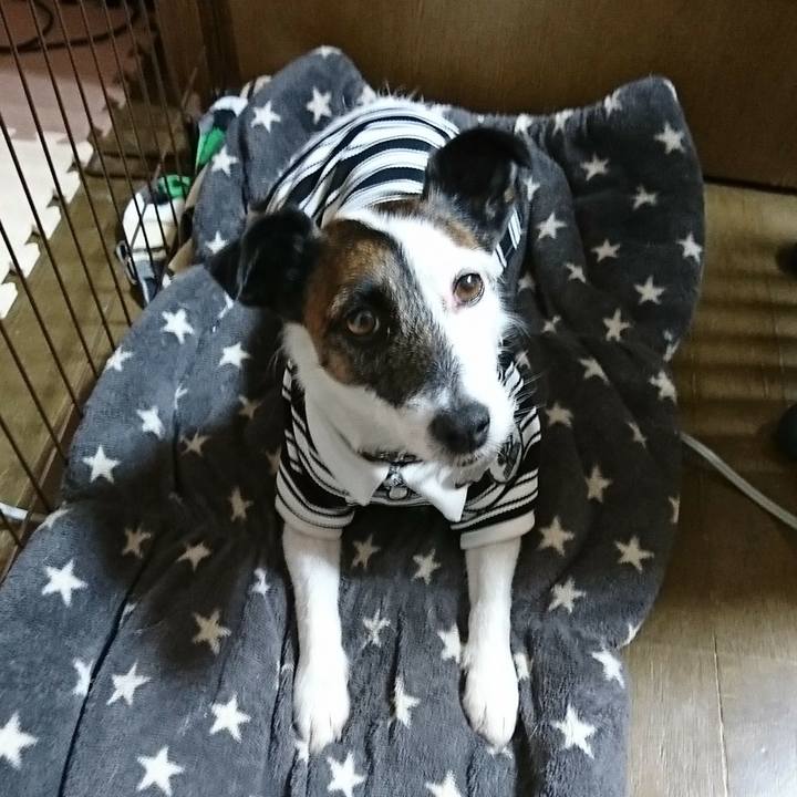 E7d27727 a740 470d 84ea 4bb52b13c28a 1582440871909