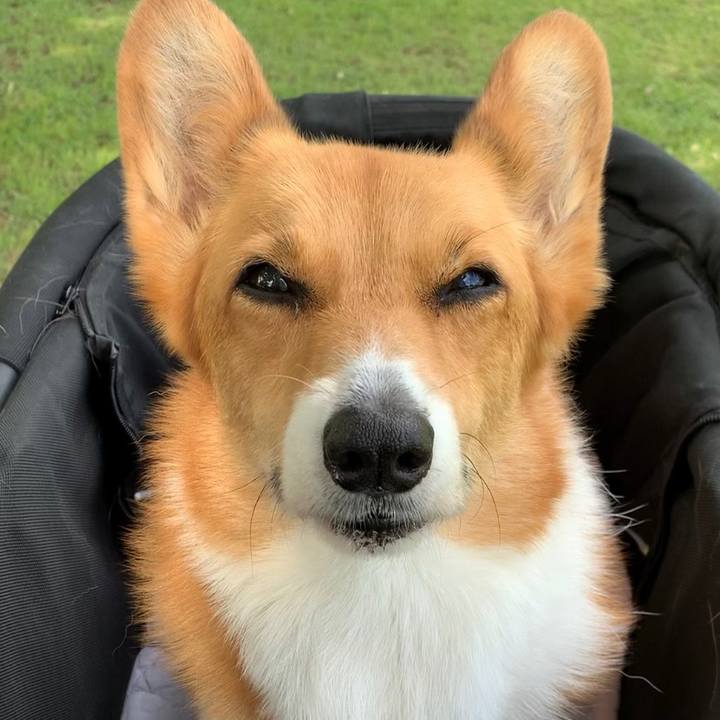 E7d27a41 f651 4538 9d07 b5da679d123f 1623718786654