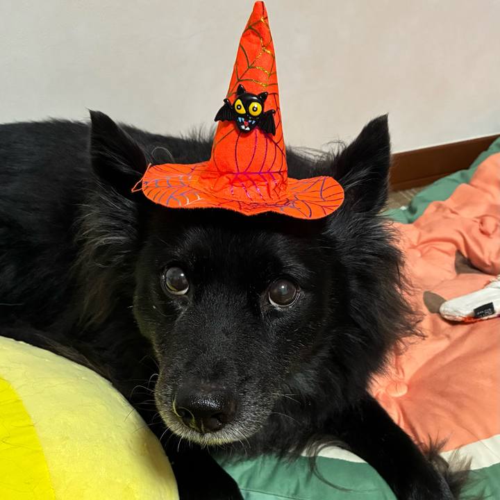 E7d29d7a 1d58 48b6 874a a64273f84e53 1759240463549