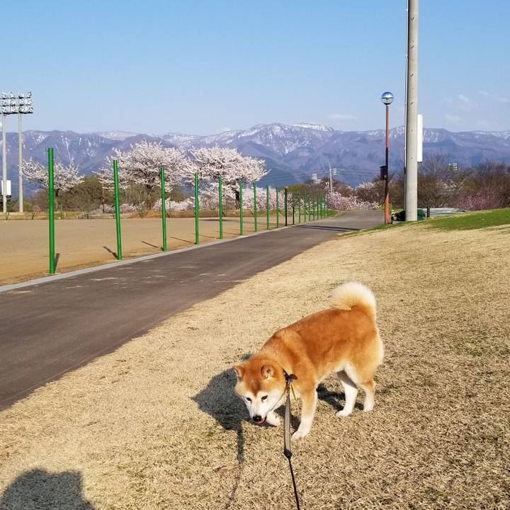 E7d2e4eb 76f0 4e51 b621 863f789d2fef 1650440565404