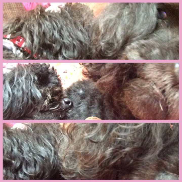 E7d2f971 5f6d 4f36 9d00 54616407181d 1526107494430