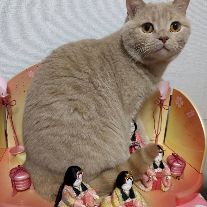 E7d3020e 8a8d 4da3 acc0 0e6c9897707a 1551351831619