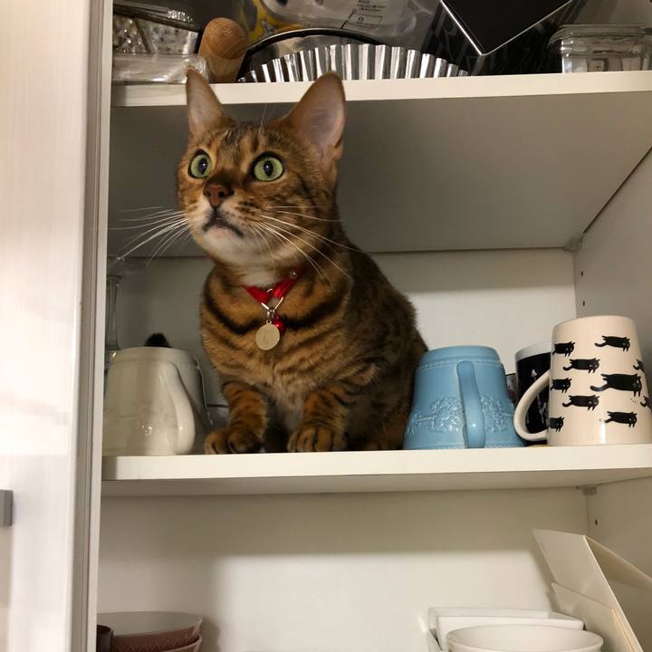 E7d31f3a edef 4a94 8a57 718d3cfe9b3d 1539090062188