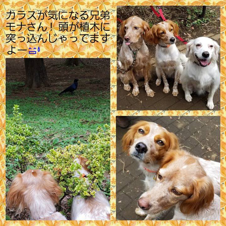 E7d3384f 3426 4676 8330 990e2a6bc8ae 1540883673097