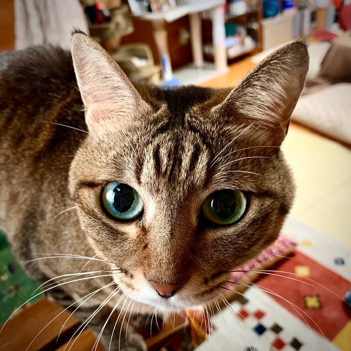 E7d33ca6 98bf 40a3 92f5 681e19e4fd8f 1578379064602