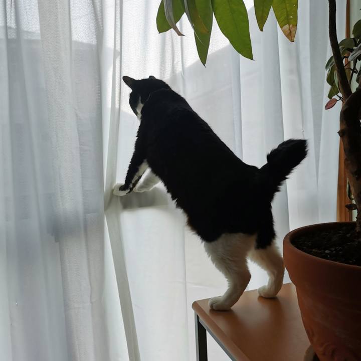 E7d35ce9 b41a 4e7f b980 b8a8a6cda750 1652243063788