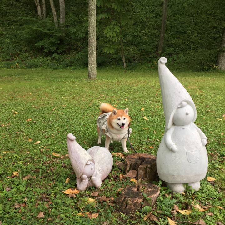 E7d38c5c 2985 4f84 845c 42a191a587ae 1536989978822