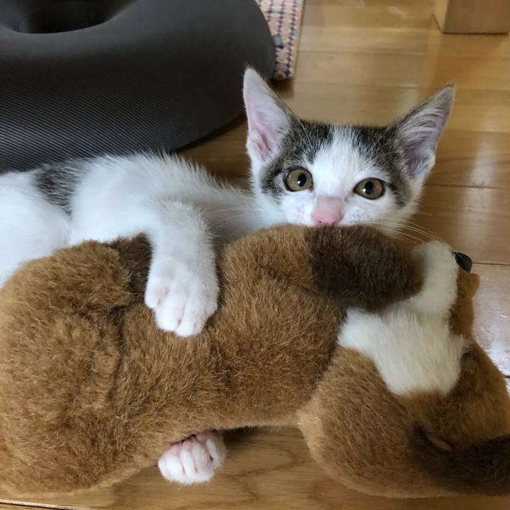 E7d419a8 91f4 4362 b9f9 7e826afb302d 1562802605097