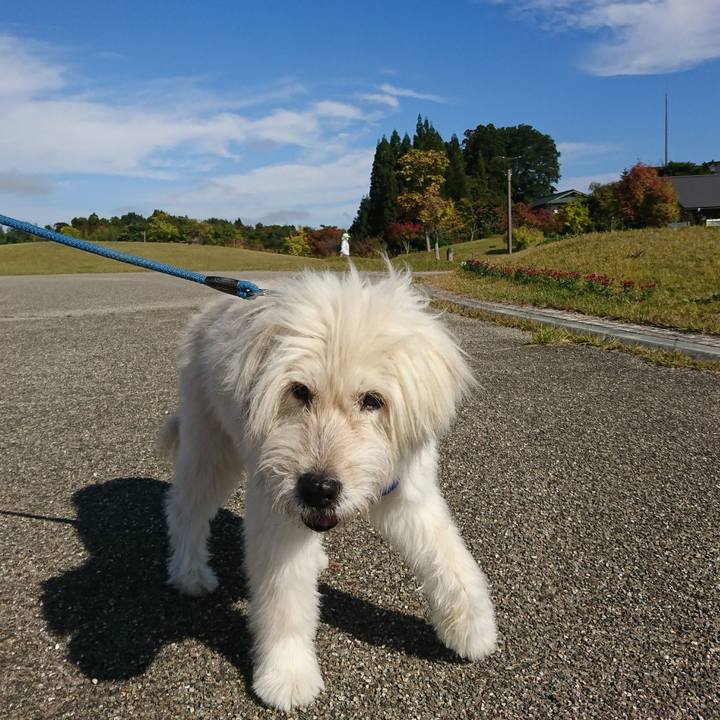 E7d41eb9 7b02 4361 8756 9567566321d5 1603016234410