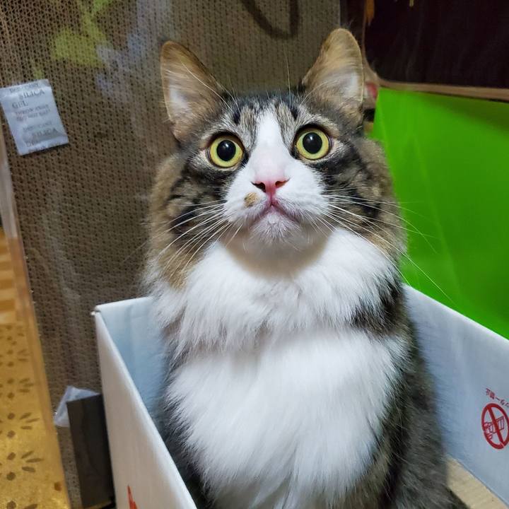 E7d45e72 7f2d 45da 91c4 f588be3673f0 1737310314905