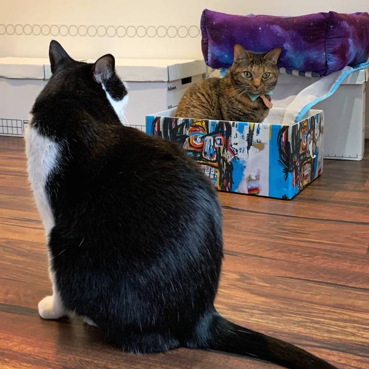 E7d49f7d 93f9 4c9a 92e7 bfa6f81725cf 1571922998652