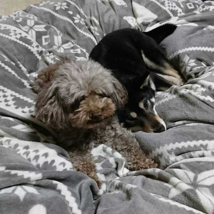 E7d5032e d6ec 4eaf bd59 bd0220b9823f 1556889267922