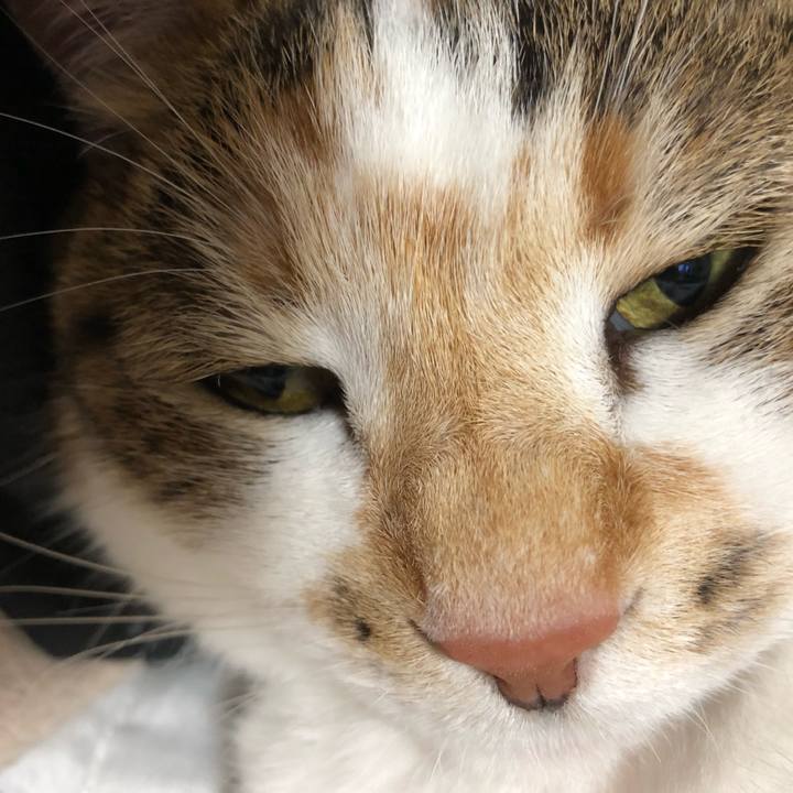 E7d50bff a6ef 4ac7 b5b6 5b5ab3b77a9d 1526740302650