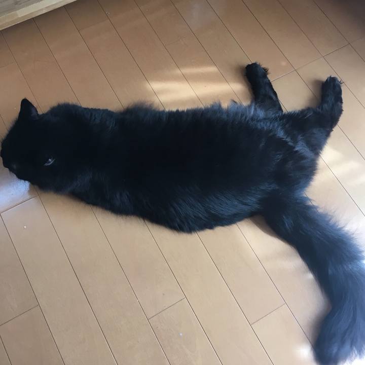 E7d550c1 0fe0 42df 9ae8 9f779da53cf5 1531381873270