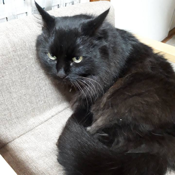 E7d5744f 0bb4 4d78 9ce4 ea64814b56a3 1518770183873