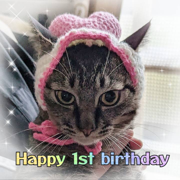 E7d58a1f 8691 483c b088 e79b03a46d13 1723633693194