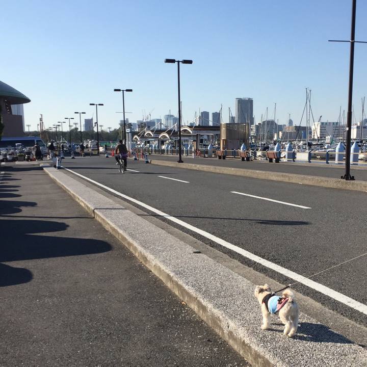 E7d5c389 0c25 4463 9355 f4fdffdc292c 1542450405610