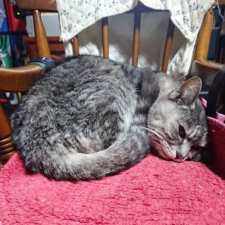 E7d5fcb0 ebfe 4b8c b461 dc5b3be97990 1581627798358