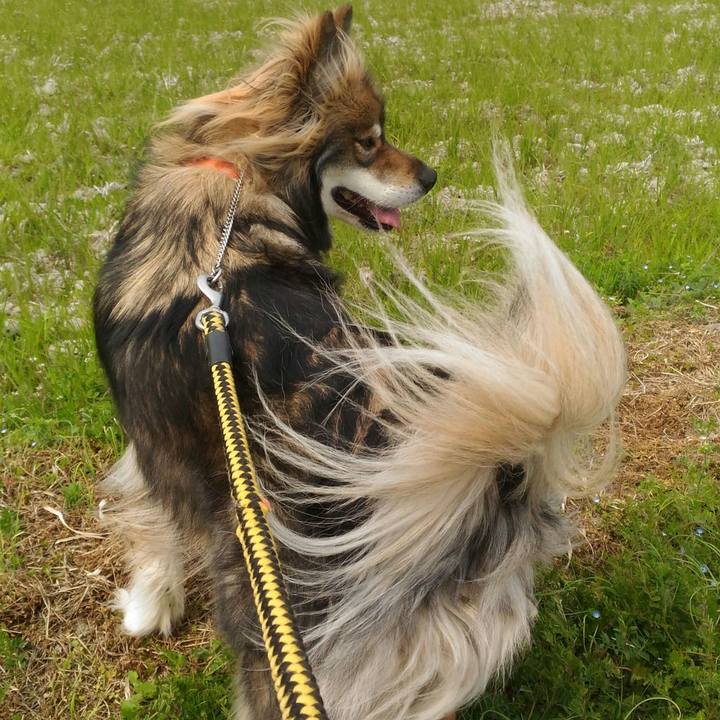 E7d6172b dac8 4c60 becd 020be8aa0b87 1553992527537