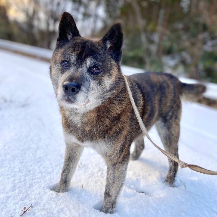 E7d61a0d 2cc3 4580 9921 8a247df6d3b9 1645662474687