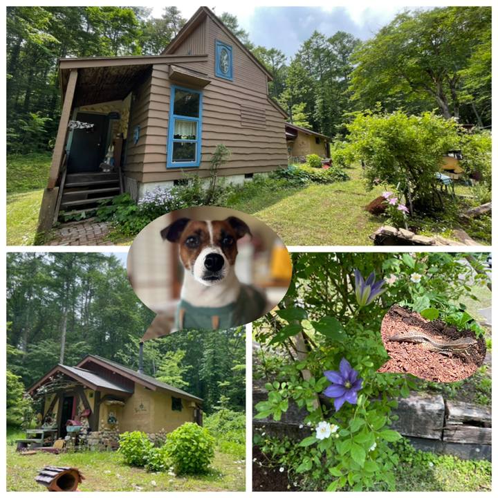 E7d639dd 464e 4765 a7ff 4612081998e9 1655785014580