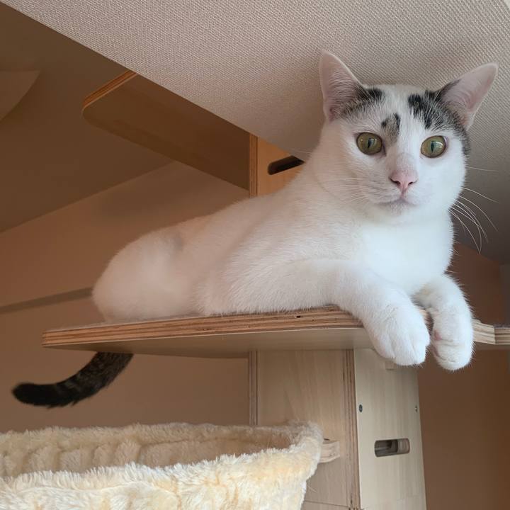 E7d67037 d366 45d1 bade 603eb240ae1f 1620372909256