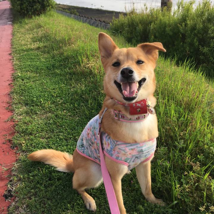 E7d6b57b 3548 4e37 b499 a87645ac8cfc 1524711085013