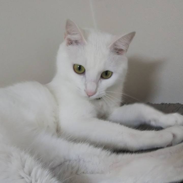 E7d6f52c 46f9 4dcd 9cc9 148bff5e8d87 1625701621781