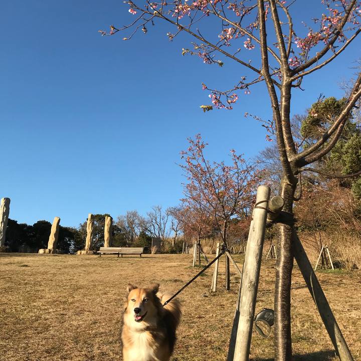 E7d714c0 c8cb 4143 9c91 ac1a11f80205 1518424296723