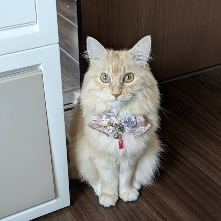 E7d723a4 1c7e 430c 8c69 2fb4cece0e82 1763432468308