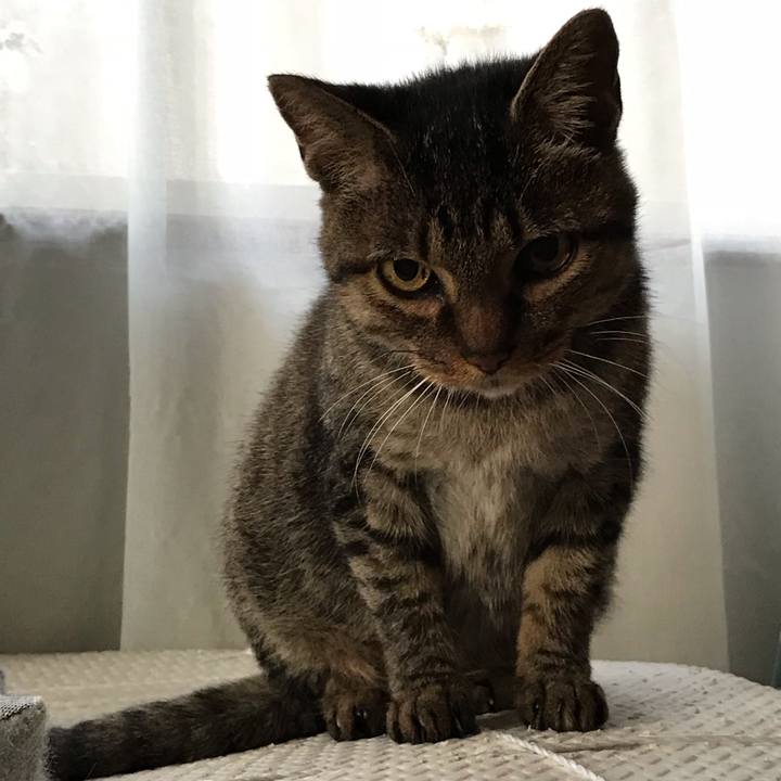 E7d7522b d242 40d2 a4bf 5e1786bfe599 1539597793519