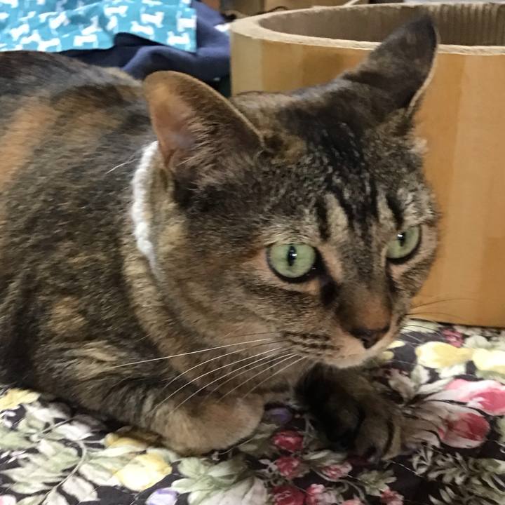 E7d77526 31f0 4c38 b186 22ab8c139542 1746869429662