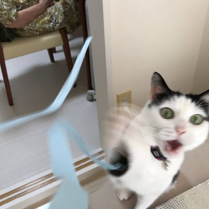 E7d785d7 a007 4bc4 baeb 2742ef27a48c 1532232228698