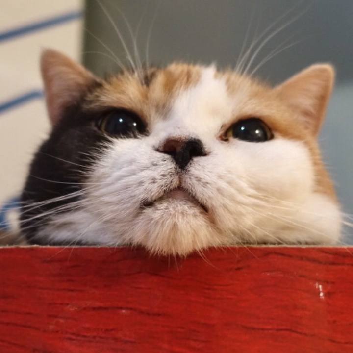 E7d7acc0 7bab 4a83 80c3 f0b76f4c59e9 1560129579562