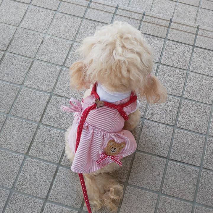 E7d8143a 22b9 41ae 8d64 673ec8799965 1654314833035