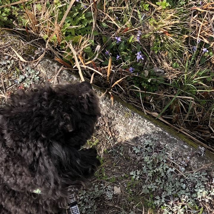 E7d82a72 f49c 405b 991a b93fc146706b 1584674371621