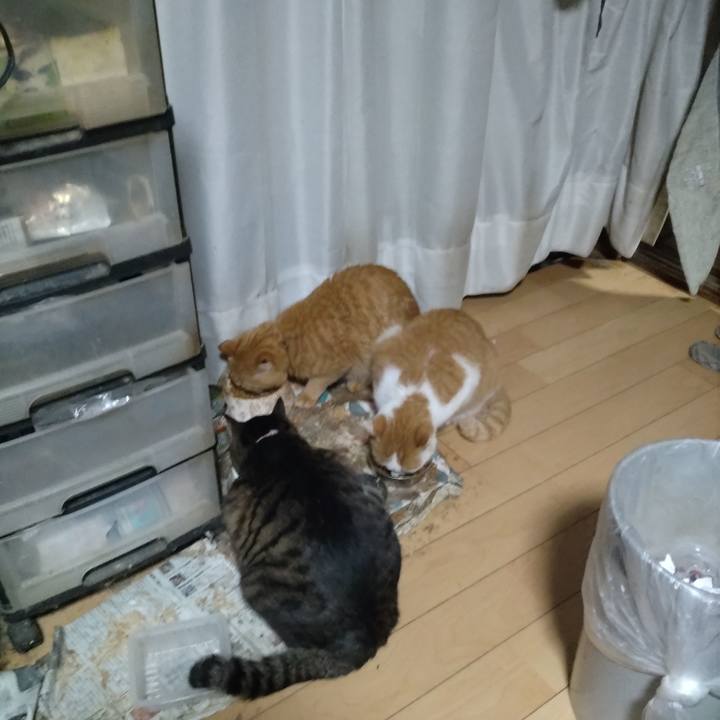 E7d83fb3 40b9 4f43 815d e738381e821d 1764294717589