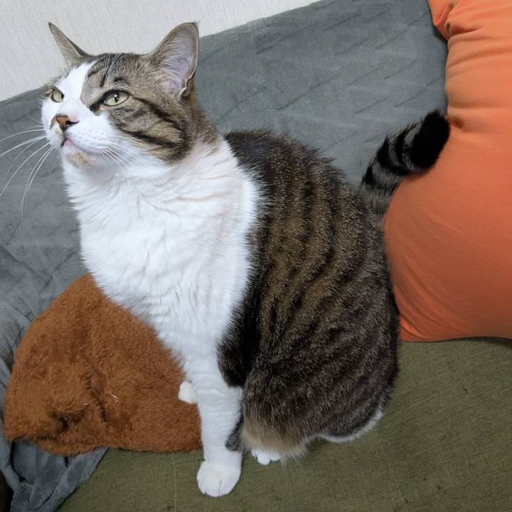 E7d840dd db4c 4986 b501 56e3b84c0c87 1738308969663