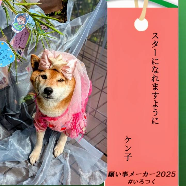 E7d86081 b1eb 42f6 907d 3c73825640c5 1751813940485