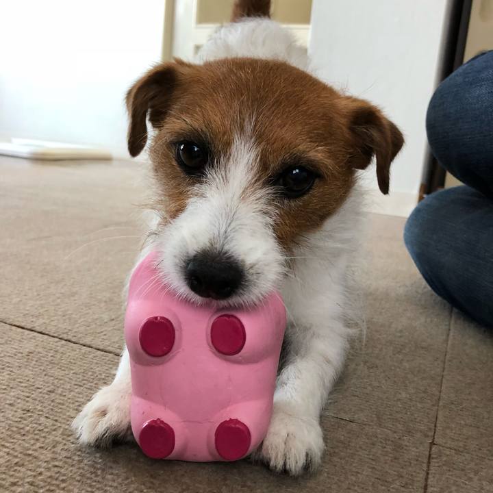 E7d87e3c fde6 4293 8be4 86a075bec57a 1526798851479